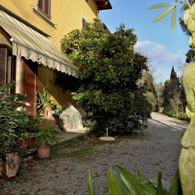 Agriturismo Il Poggetto Torre Buitenkant foto