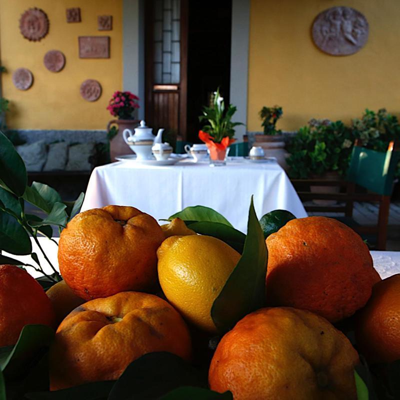 Agriturismo Il Poggetto Torre Buitenkant foto